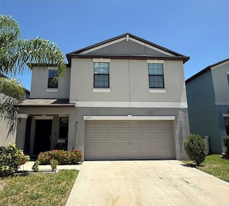 10221 Carloway Hills Dr, Wimauma, FL 33598