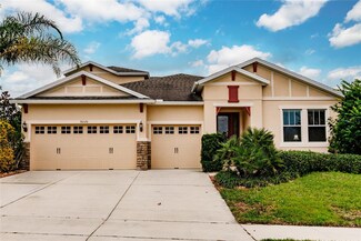30120 Hackney Loop, Mount Dora, FL 32757