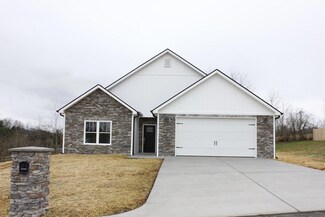 115 Fox Ridge Dr, Mount Carmel, TN 37645