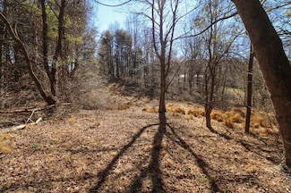 Lot 65 Southern View Trail, Fancy Gap, VA 24328