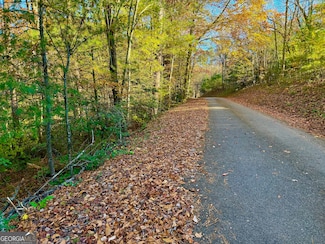 0 Newton Cir Unit 10643280, Blairsville, GA 30512