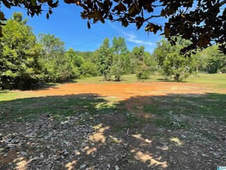 1483 Highway 7, Wilsonville, AL 35186