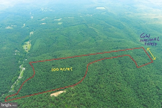 0 100 Ac On George Washington National Forest Unit WVHS2006474, Yellow Spring, WV 26865