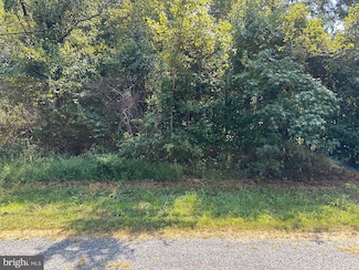 0 Vireo Rd, Chestertown, MD 21620