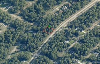 9182 N Citrus Springs Blvd, Dunnellon, FL 34433