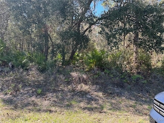 2830 S Bolton Ave, Homosassa Springs, FL 34448