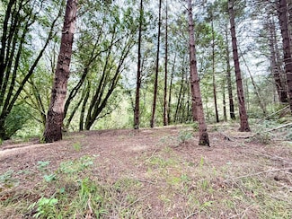211 Beach Rd, Shelter Cove, CA 95589