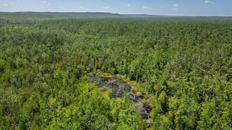 1133 W Thumb Lake Rd, Vanderbilt, MI 49795