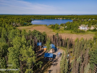 50735 S Silver Salmon Dr, Willow, AK 99688