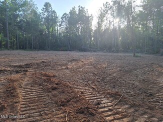 1078 Dry Creek Rd, Mendenhall, MS 39114