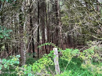 0 Lot 6 Willie Prigmore Rd, Decatur, TN 37322