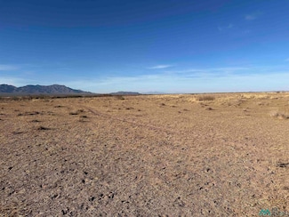 XXXX Avenura Rd SE, Deming, NM 88030