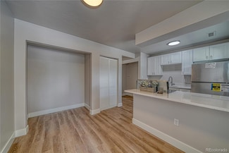 921 Mount Massive Dr Unit 9, Leadville, CO 80461