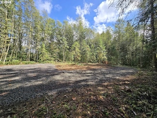 0 Province Rd Unit 24196168, Longview, WA 98632