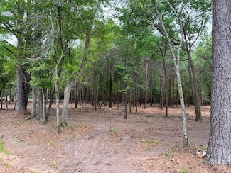 00 Kinsey Dunn Road - 46 Acres, Dothan, AL 36303