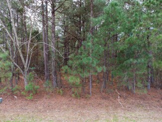 758 Bennock Mill Rd, Augusta, GA 30906