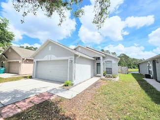 6248 Tabogi Trail, Wesley Chapel, FL 33545