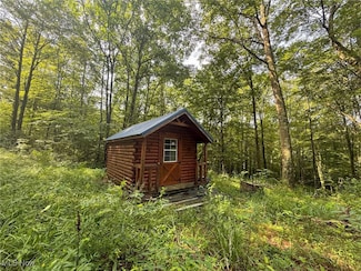 0 Township Road 273, Salt Lick Township, OH 43782