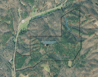 172.02AC Georgia 382, Ellijay, GA 30540