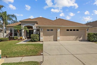 18117 Pheasant Walk Dr, Tampa, FL 33647