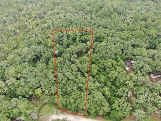 11042 Forest St, Perry, FL 32348