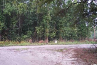 Derrick Ct, Marion, SC 29571