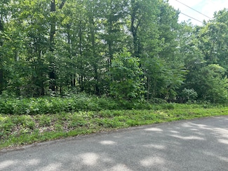 Lot # 9 Clint Williams Rd, Rutledge, TN 37861