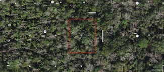 10388 W Robert Dunn Ct, Homosassa Springs, FL 34446