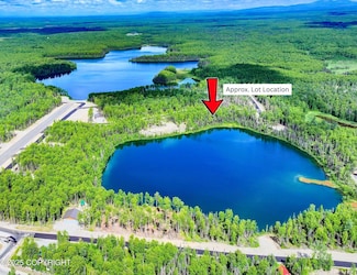 19400 E Old Village St, Willow, AK 99688