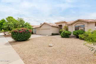 219 E Palomino Ct, Gilbert, AZ 85296