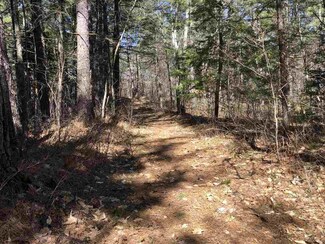 0 Trout Run Unit 53 4750037, Effingham, NH 03882