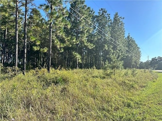 0 Red Fox Rd W, Mount Vernon, AL 36560