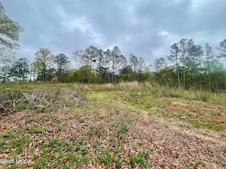 0 English Rd Unit 179056, Forsyth, GA 31029