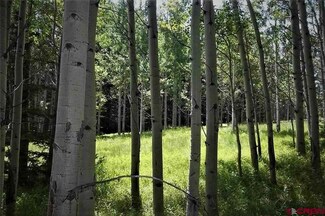 200 & 202 Hazel Lake Dr, Cimarron, CO 81220