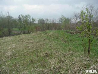 0 W Perryton St, Reynolds, IL 61279