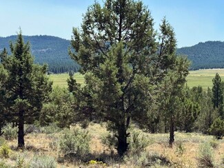 0 Skamania Unit 8, Chiloquin, OR 97624