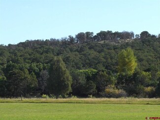 X45 Road, Norwood, CO 81423