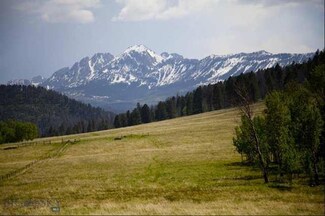0 Tbd Petterson Rd Unit 184185, Wilsall, MT 59086