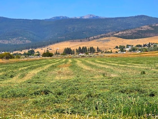 Tract 1B of COS 3917 Ekblad Rd, Hot Springs, MT 59845