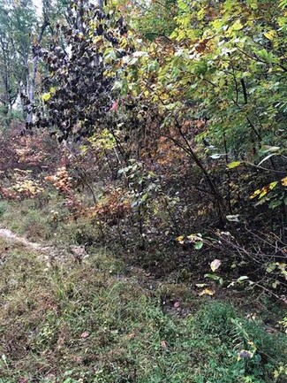 123 Lakeview Ct Unit Lots (353, 354, & 35, Mammoth Cave, KY 42259