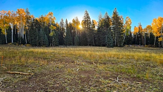 0 Elk Meadows Rd Unit 24-255954, Beaver, UT 84713