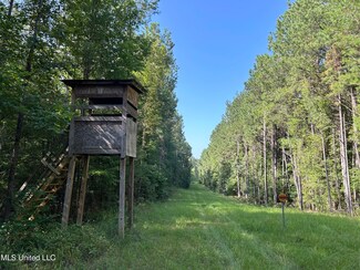 0 Lowenkamp Ln, Hazlehurst, MS 39083