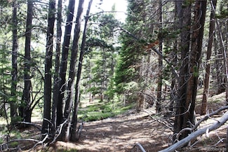 Group 2-3 Lamartine Rd Unit 6295, Idaho Springs, CO 80452