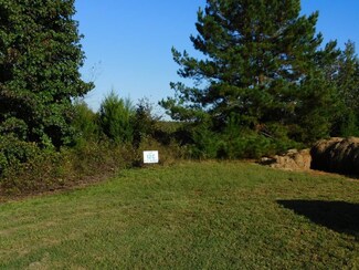 4.31 Wellspring Ln, South Boston, VA 24592