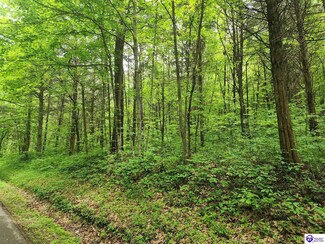 Tract 2 E G Nash Rd, Spring Lick, KY 42721
