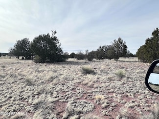 78, Seligman, AZ 86337