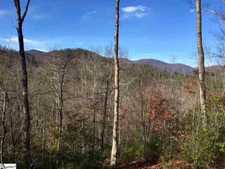 35 White Fox Trail, Marietta, SC 29661