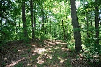29 Open Ridge Trail, Pisgah Forest, NC 28768