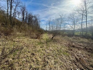 585 Colt Run Rd, Spencer, WV 25276