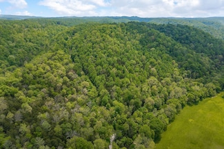 0 Red Bud Ln, Hilham, TN 38568